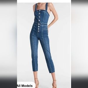 Express front button down overalls